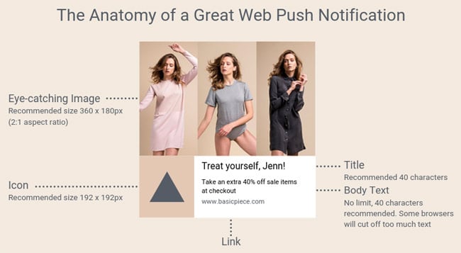 ananatomy web push campaign